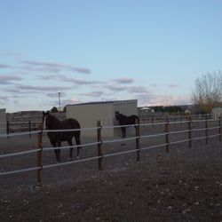 Cottonwood Creek Farm - Private paddocks have runs that are 150' long with shelters and heated waterers.