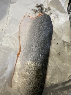 Kathleen's Catch by null