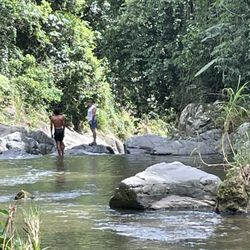 Aventureo PR - Curious, exploring around.