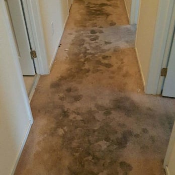 Expert Flooring Solutions - Before and after photos of the carpet that we replaced, they did a great job - Flooring Near Me - Las Vegas, Nevada Expert Flooring Solutions - Before and after photos of the carpet that we replaced, they did a great job - Flooring Near Me - Las Vegas, Nevada