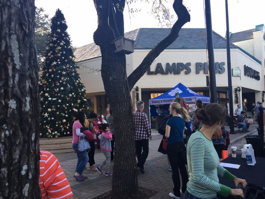 The Arboretum by null