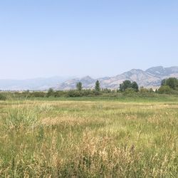 Cherry River Fishing Access - A little smoky today