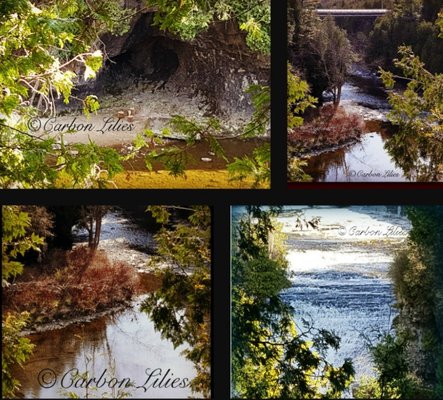 Elora Gorge Conservation Area by null