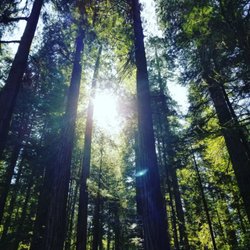 Lavender Hills landscape