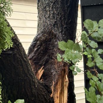 Meca Tree Service - Tree Services Near Me Meca Tree Service - Tree Services Near Me