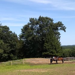 There Be Dragons Farm