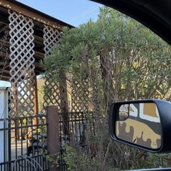 Bald Monkey Beanery - Outdoor space