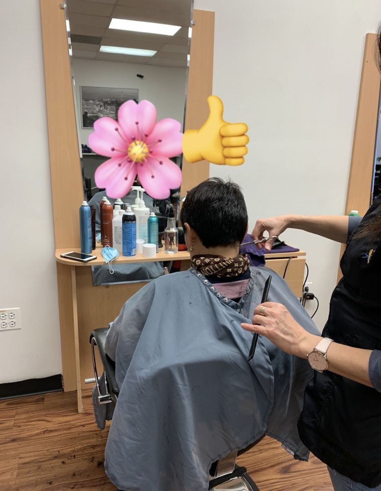 BACI SALON PROS Updated September 2024 20 Photos & 15 Reviews 969 S Elmhurst Rd, Des