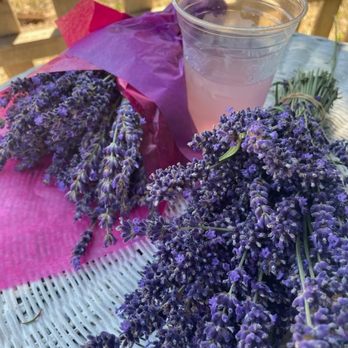 Wayward Winds Lavender Farm - Attraction Farms Near Me - Newberg, Oregon Wayward Winds Lavender Farm - Attraction Farms Near Me - Newberg, Oregon