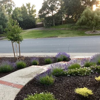 Diablo Lawnscape - Landscape Architects or Designers Near Me