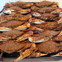 Costas Inn - A dozen of our perfectly seasoned Steamed Crabs. We take Pride in Our Presentation!!