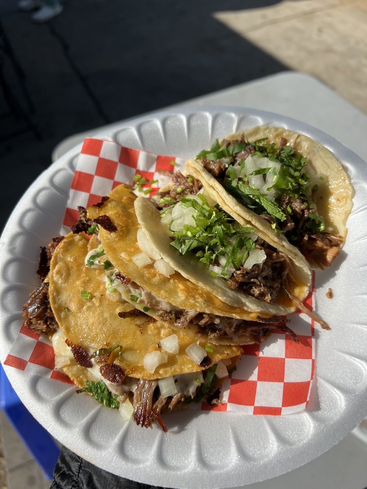 Gatos tacos L.A Gatos tacos L.A