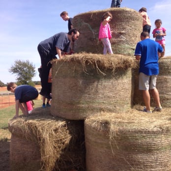 The Flower Mound Pumpkin Patch - Hay to climb. - Pumpkin Patches Near Me - Flower Mound, Texas