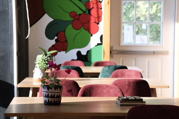 Snowy Owl Cafe & Roastery by null