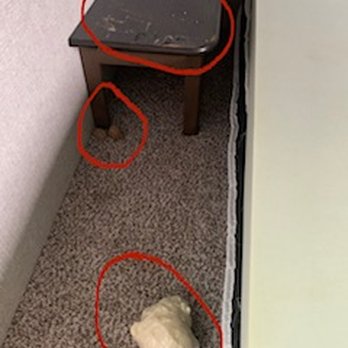 Camping World - North Little Rock - Pieces of insulation and mud in bedroom - RV Dealers Near Me - North Little Rock, Arkansas