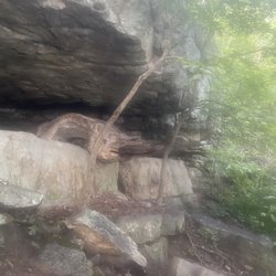 House Mountain State Park
