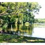Photo of Edgwater Park