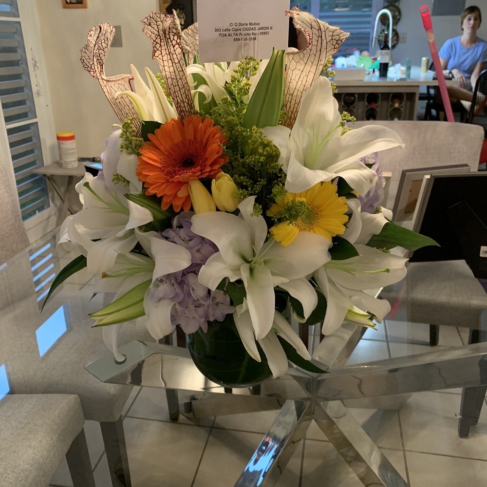 Cinderella Flowers Puerto Rico Best Flower Site