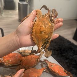 BP Seafood