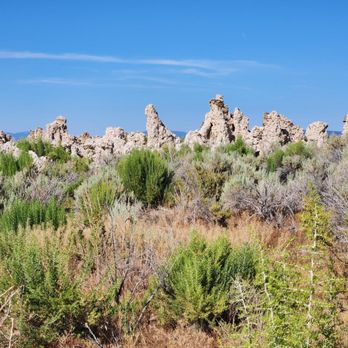 Mono Lake Tufa State Reserve - There are two paths. They end up connecting. Nice views of the land and the water. - Lakes Near Me - Lee Vining, California Mono Lake Tufa State Reserve - There are two paths. They end up connecting. Nice views of the land and the water. - Lakes Near Me - Lee Vining, California