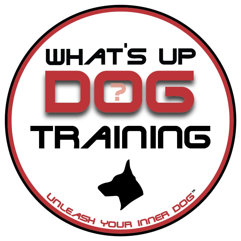 What's Up Dog Image