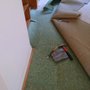 Carpet Repair Service