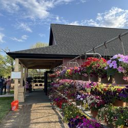 Fern Valley Market - Side of the store with hanging baskets