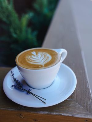 Craft Coffee Parlor by null