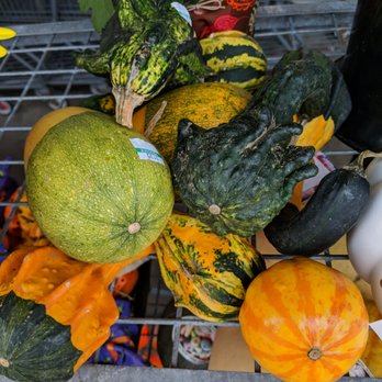 Hannaford - a variety of squash and gourds - Grocery Near Me - Meredith, New Hampshire Hannaford - a variety of squash and gourds - Grocery Near Me - Meredith, New Hampshire