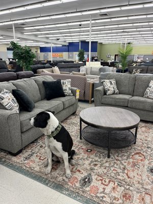 Overstock Outlet US by null