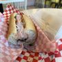 The Bliss Banh Mi