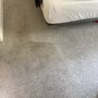 Photo of Integrity Carpet Cleaning