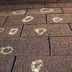 Republic Roof Systems