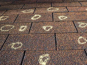 Slide of Republic Roof Systems