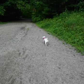 Quarry Run Dog Park - Hiking Near Me - Portland, Maine Quarry Run Dog Park - Hiking Near Me - Portland, Maine