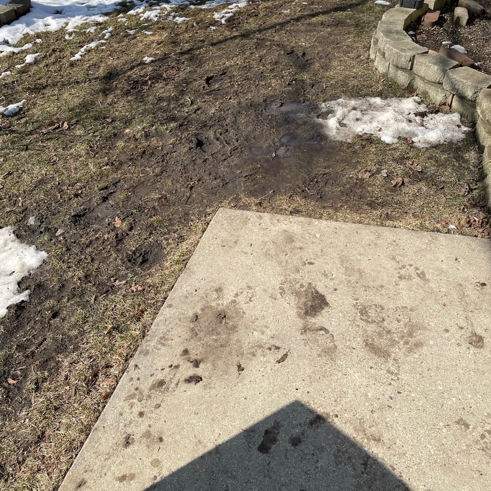 Weather Tight - Messy yard. - Roofing Near Me - West Allis, Wisconsin Weather Tight - Messy yard. - Roofing Near Me - West Allis, Wisconsin
