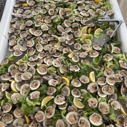 Clams and clams..... Clams and clams.....
