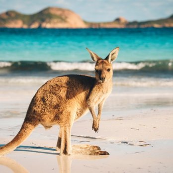A Destination Travel - Australia - Travel Agents Near Me - Henderson, Nevada A Destination Travel - Australia - Travel Agents Near Me - Henderson, Nevada