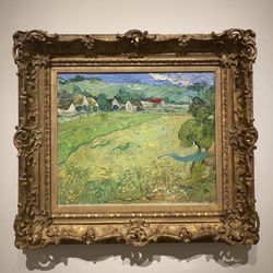 Museu Nacional Thyssen-Bornemisza - Vincent - he's The Man!! - 1890 - Les Vessenots in Auvers