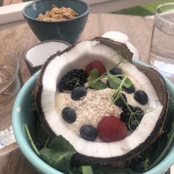 Hotel Joaquin - Coconut yogurt was amazing! Option for your complimentary breakfast - Hotels Near Me - Laguna Beach, California Hotel Joaquin - Coconut yogurt was amazing! Option for your complimentary breakfast - Hotels Near Me - Laguna Beach, California