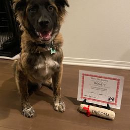 Bogey graduated Intermediate level! Bogey graduated Intermediate level!