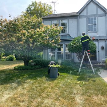 Cedar Landscaping and Tree Care - Home in southwest Elgin, IL. being serviced by Cedar V Tree Removal and Landscaping. Tree trimming and expert shaping. - Landscaping Near Me