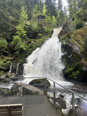 Triberg Waterfalls by null