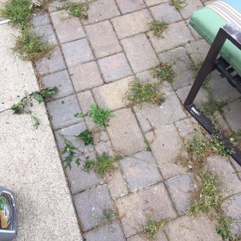 Precision Landscaping - They sealed my pavers - Snow Removal Near Me - Wayne, New Jersey
