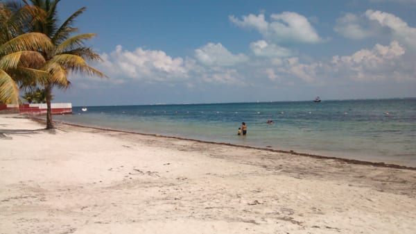 Playa del Niño by null