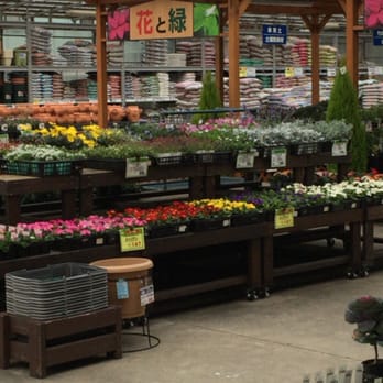 ケーヨーデーツー本牧店 Grocery 中区本牧間門38 1 横浜市 神奈川県 Japan Phone Number Yelp