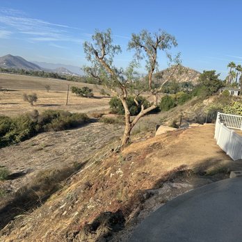 S & H Tree & Arborist Service - Area cleaned pepper trees cut down - Tree Services Near Me