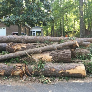 Oak Tree Service - Tree Services Near Me Oak Tree Service - Tree Services Near Me
