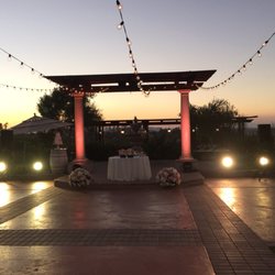 DJ CRISTIAN - LED lighting accenting the wedding decor not competing against it