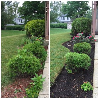 American Artists Landscaping - Weeds pulled, tree / shrubs trimmed, and double ground hardwood mulch installed. - Landscaping Near Me - Geneva, Illinois American Artists Landscaping - Weeds pulled, tree / shrubs trimmed, and double ground hardwood mulch installed. - Landscaping Near Me - Geneva, Illinois